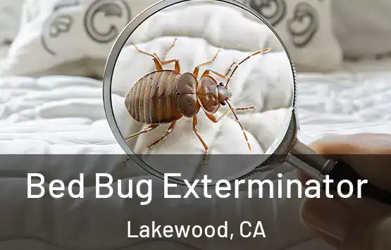  Bed Bug Exterminator Lakewood, CA