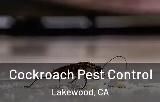  Cockroach Pest Control Lakewood, CA