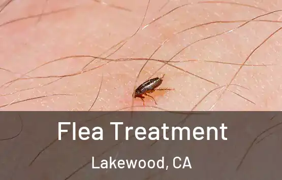  Flea Treatment Lakewood, CA