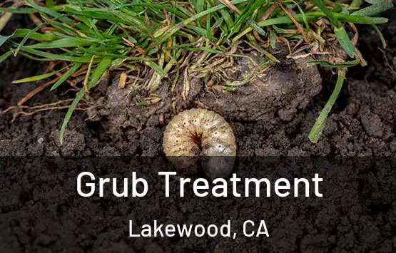  Grub Treatment Lakewood, CA