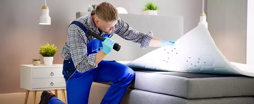 bed-bug-treatment in Lakewood, CA
