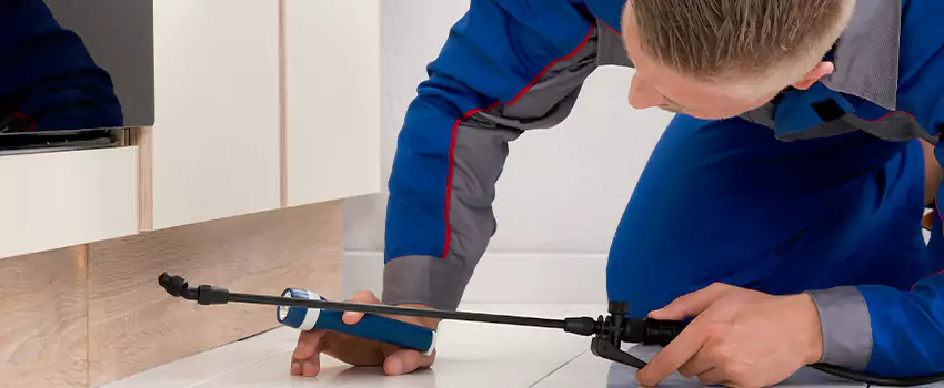 Commercial Pest Control for Offices in Lakewood, CA