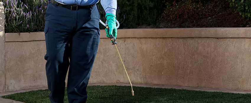 Emergency Pest Extermination for Children and Pets Lakewood, CA