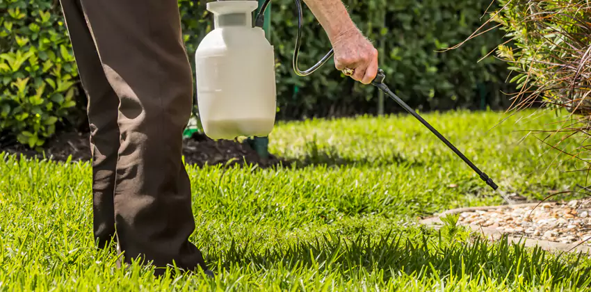 Grub Treatment for Bedrooms Lakewood, CA