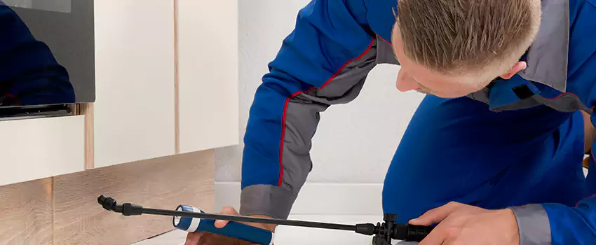 Termite Control for Children and Pets in Lakewood, CA