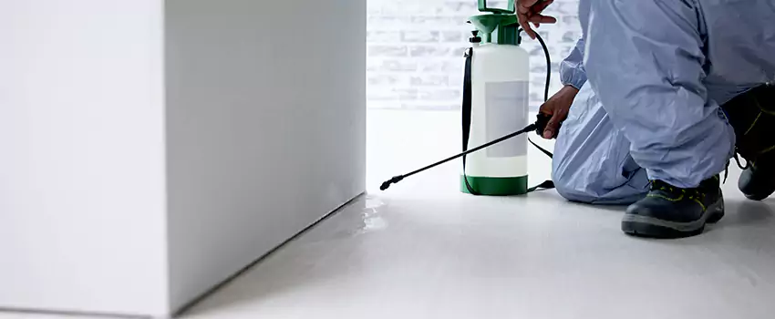 commercial-pest-control in Lakewood, CA