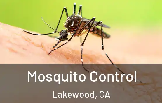  Mosquito Control Lakewood, CA