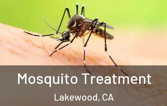  Mosquito Treatment Lakewood, CA