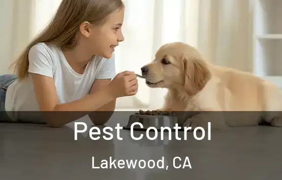 Pest Control Lakewood, CA