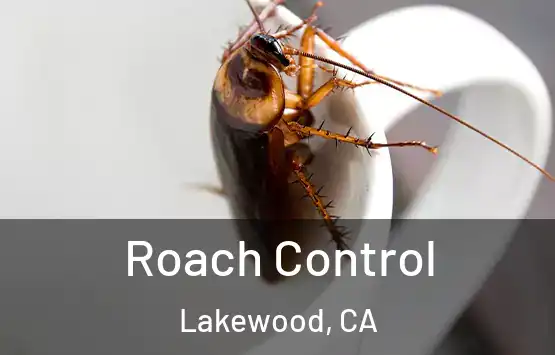  Roach Control Lakewood, CA