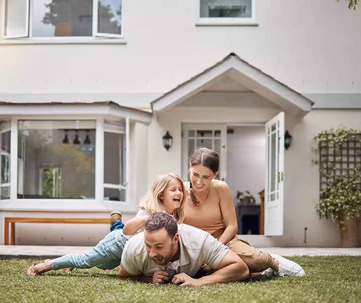 About Ant Control Lakewood