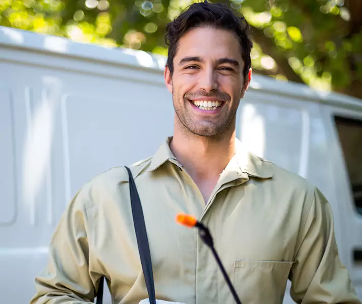 About Ant Exterminator Lakewood