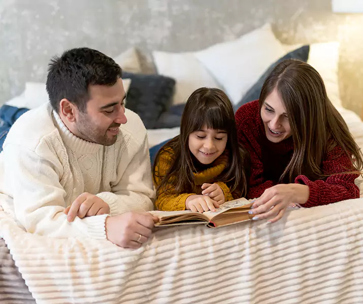 About Bed Bug Pest Control Lakewood