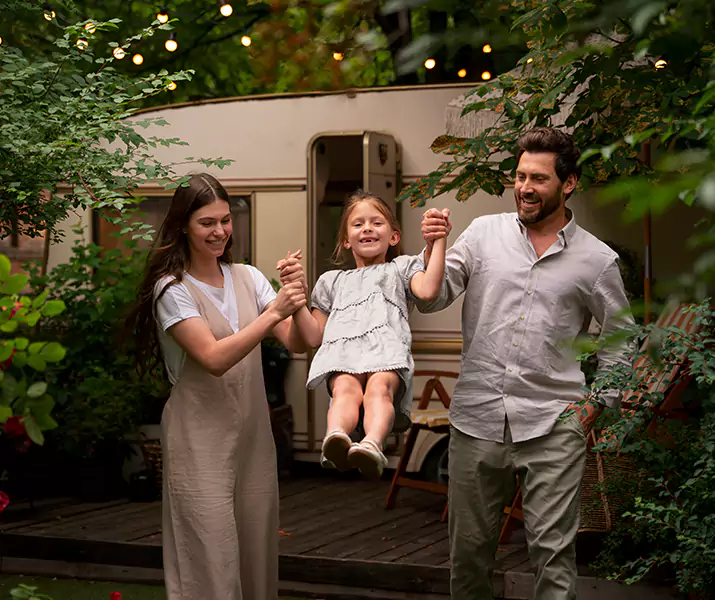 About Flea Treatment Lakewood