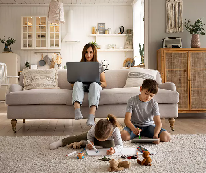 About Mice Control Lakewood