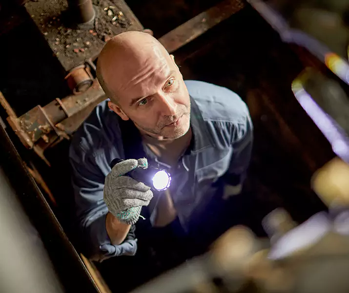 About Pest Inspection Lakewood