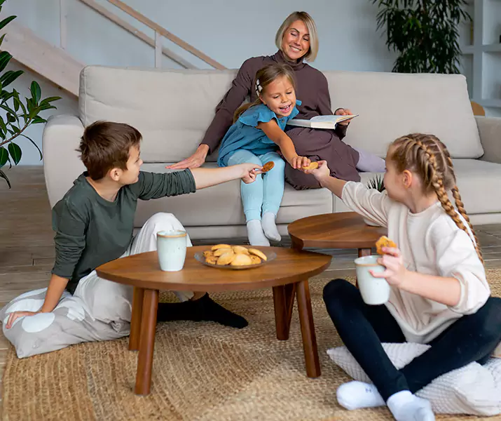 About Spider Exterminator Lakewood