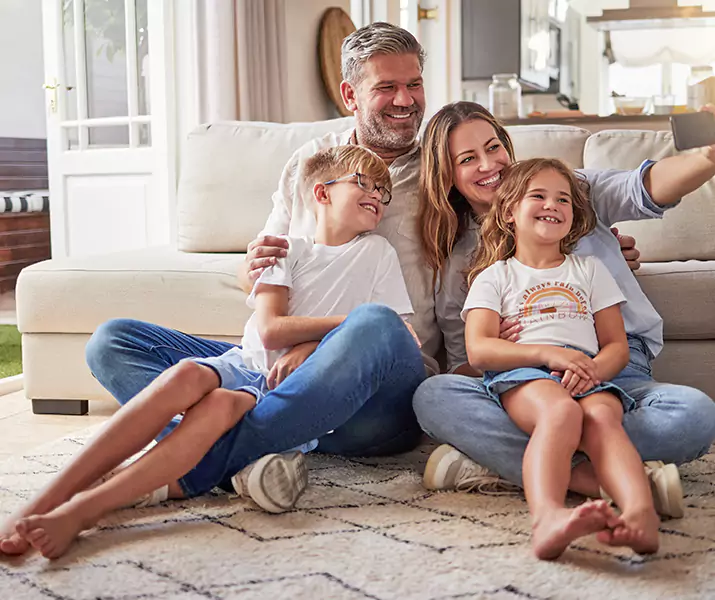 About Termite Inspection Lakewood