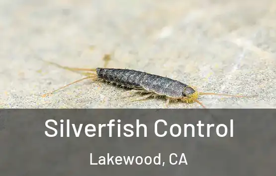  Silverfish Control Lakewood, CA