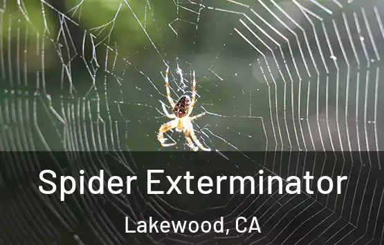  Spider Exterminator Lakewood, CA