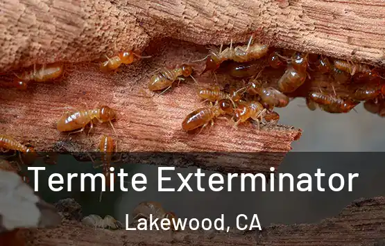  Termite Exterminator Lakewood, CA