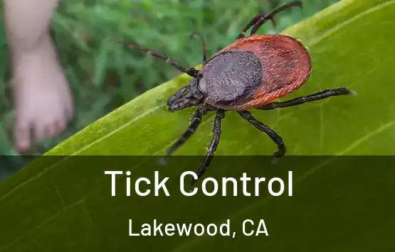  Tick Control Lakewood, CA