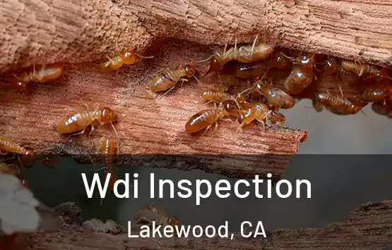 Wdi Inspection Lakewood, CA