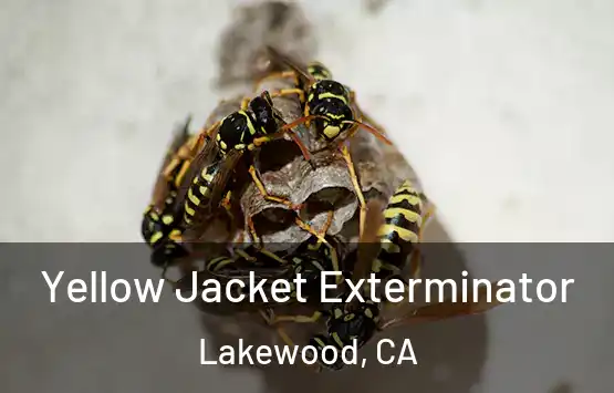  Yellow Jacket Exterminator Lakewood, CA